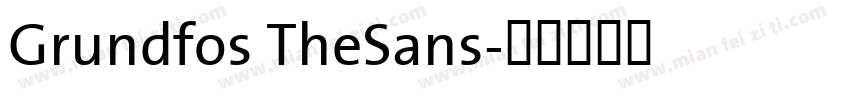 Grundfos TheSans字体转换